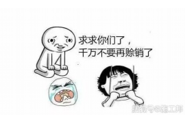 锡林郭勒商账追讨清欠服务